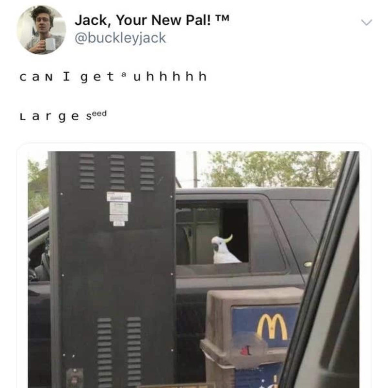 Best-Australian-Memes-91-1-1.jpg