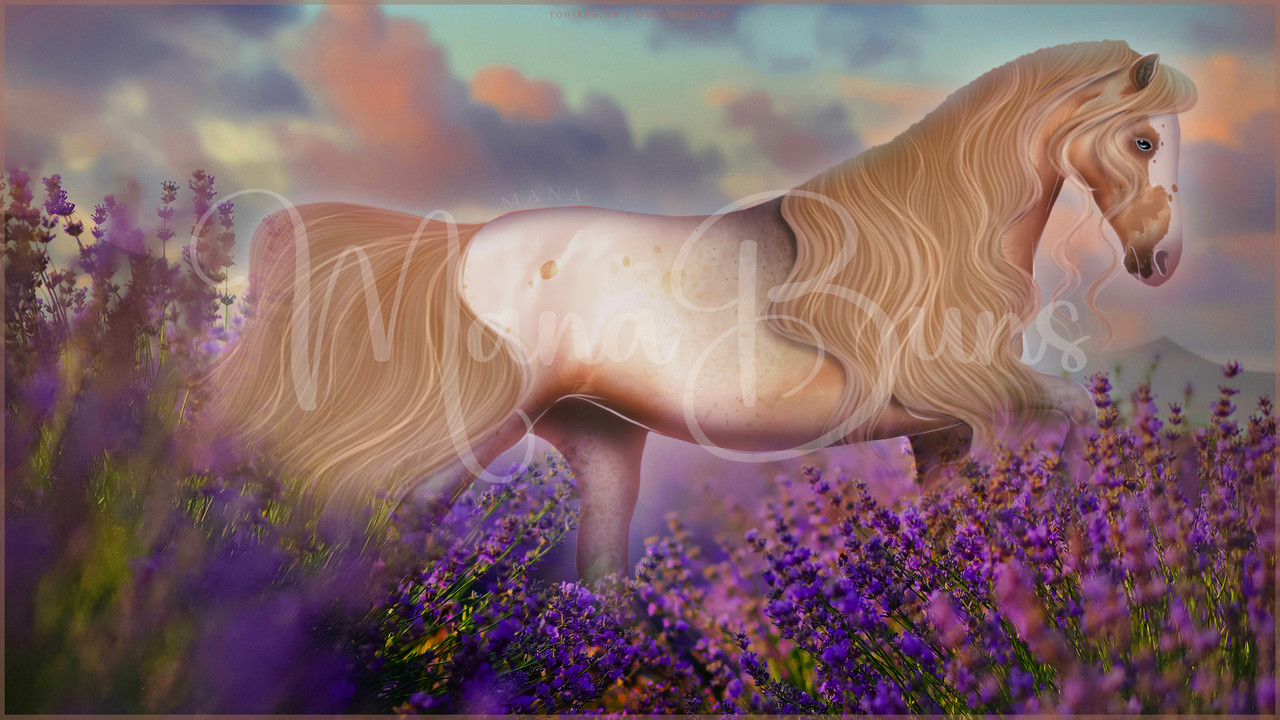 Galloping-COMM-WIP
