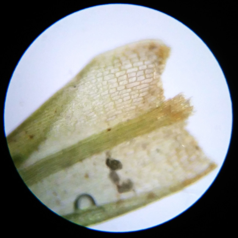 IMG 20250617 121943 HDR