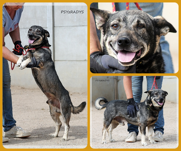 BeFunky-collage (24)