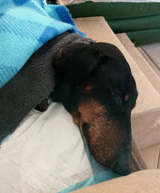 [Image: 20230129-151721.jpg]