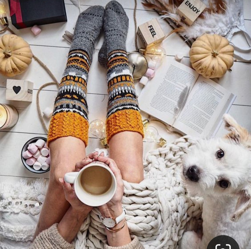 Screenshot_20230909_010606_Pinterest