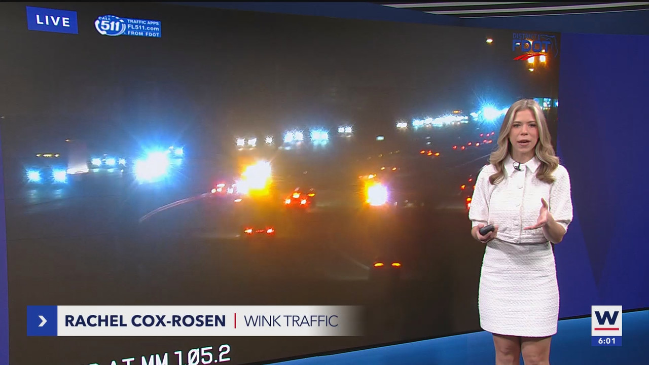 WINK News at 600am_20250117_11001130.ts_snapshot_02.38.633
