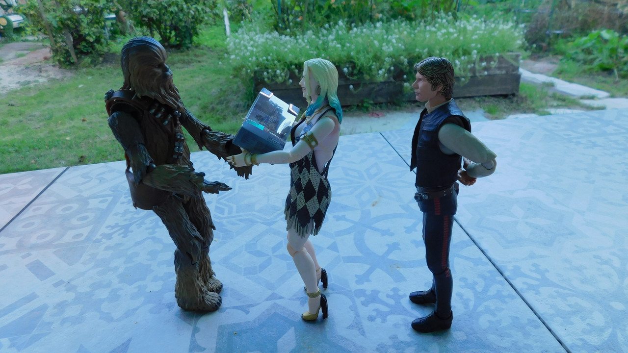 Дачно-барбейское июль, Харлинское 2-я серия 221