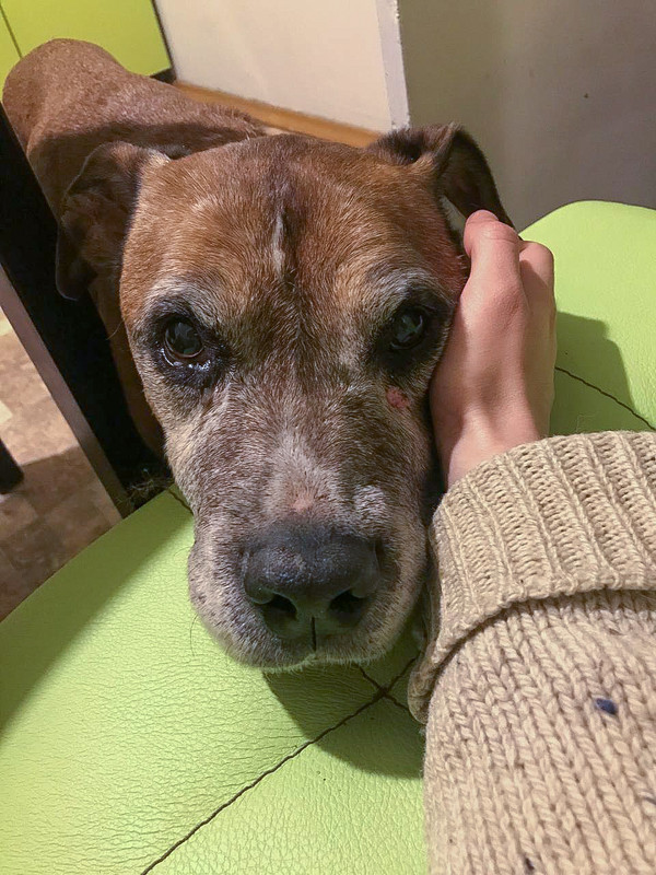 5554625B-3BA3-4B48-95AD-96D93E6C11FC