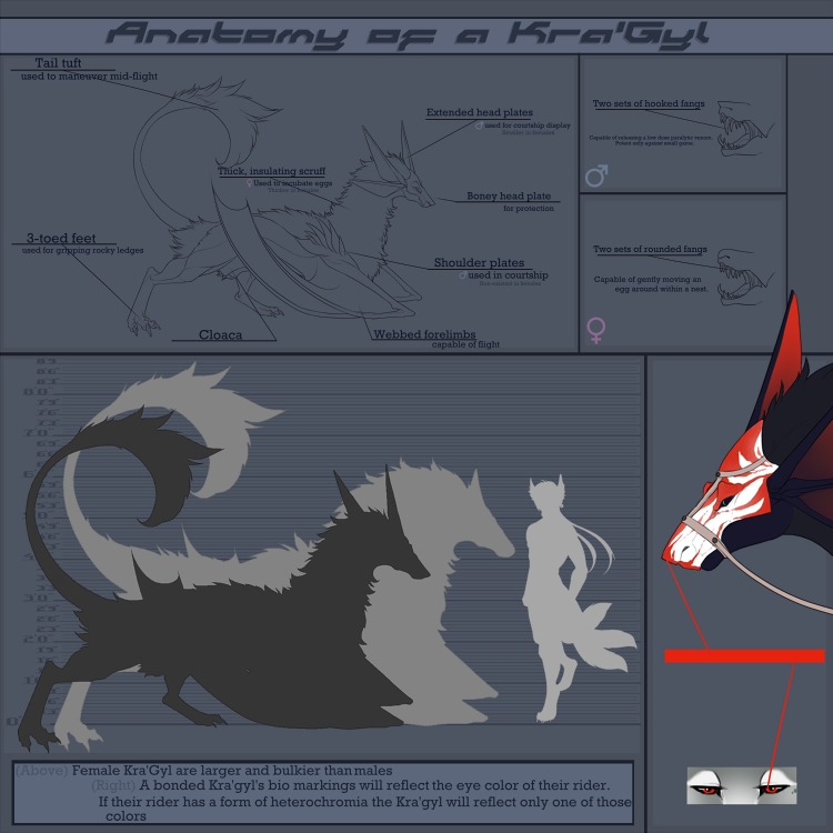 Kra-Gyl-Anatomy-SML.png