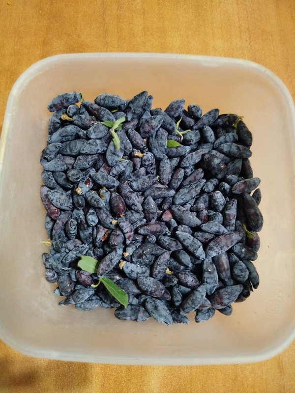 photo-2025-05-20-20-12-22