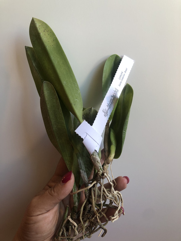 24193A7F-8139-4D4B-BEA5-28F90FE9F1AA