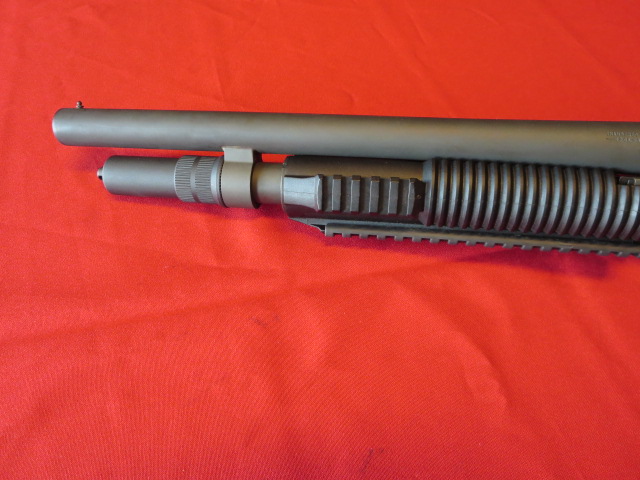 Waff-ank-Clearwater-005