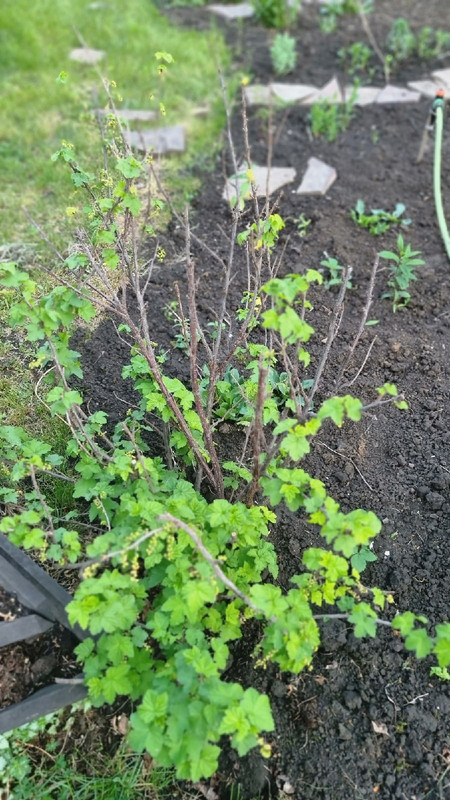 WYtBWsElUjepfH17DUckKJz3BBwpb4DC8dj62YQdPuja-ukVSGGpPm1adKEFstEQ-lKm09X3np2QxXqJbT2WzD7n