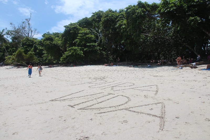 DIA 14: PARQUE DE MANUEL ANTONIO - DE TORTUGAS Y PEREZOSOS. COSTA RICA 2019 (35)