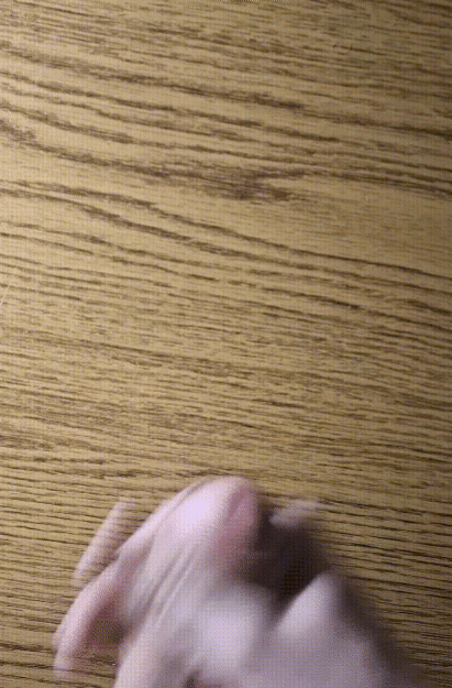 20250722-045025.gif