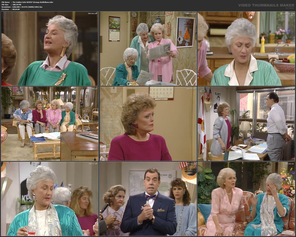 The Golden Girls S03E07 Strange Bedfellows.mkv