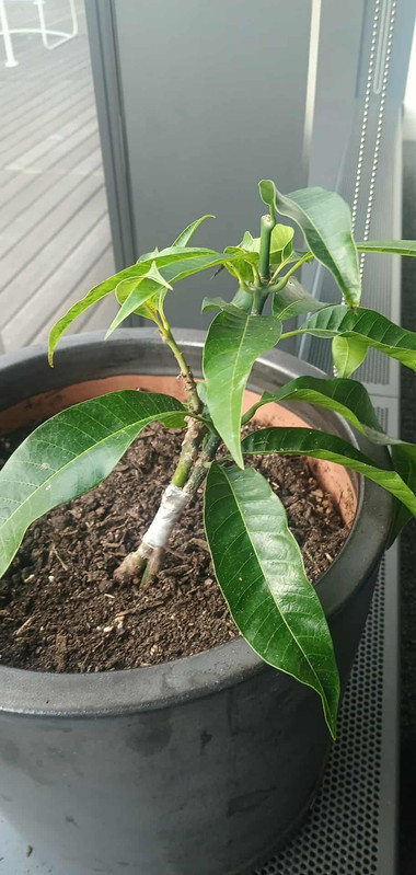 2a0090d3 3595 4c86 a0d1 e4c897ce31d3