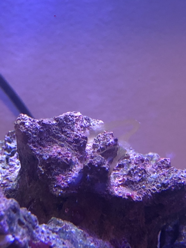 55D74FC2-EFFB-489A-8278-AF631BF174DB