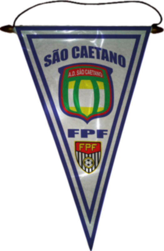ASSOCIAÇÃO DEPORTIVA SÃO CAETANO