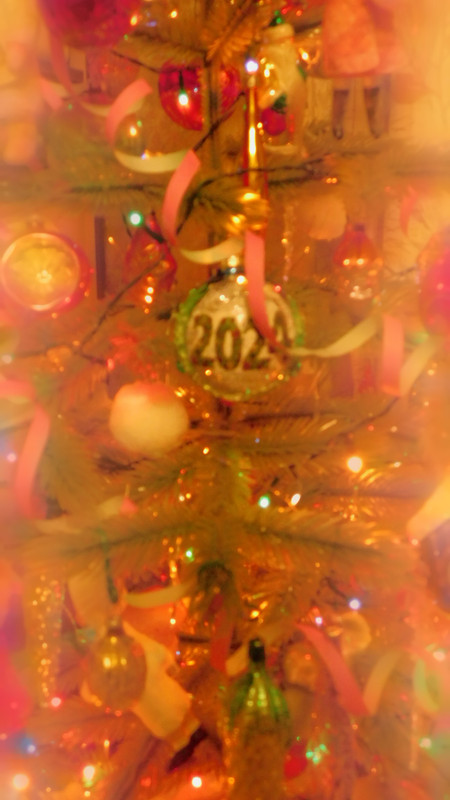 Предновогоднее декабрь 2023 дом 048