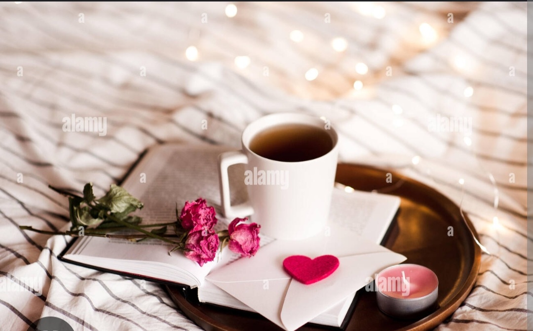 Screenshot_20221126-004111_Chrome