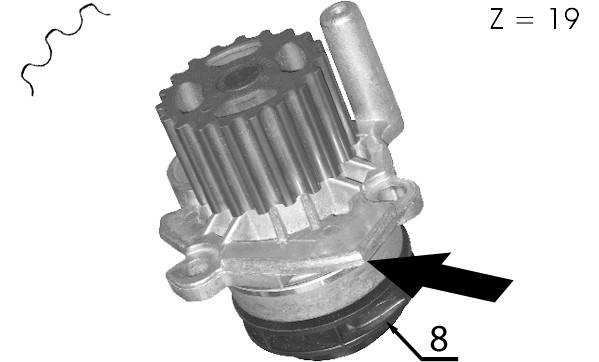 A204 dolz