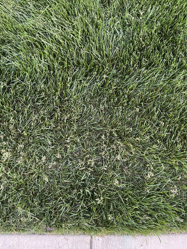 F763678B-5D65-42B5-8DF2-4754C04BDF97