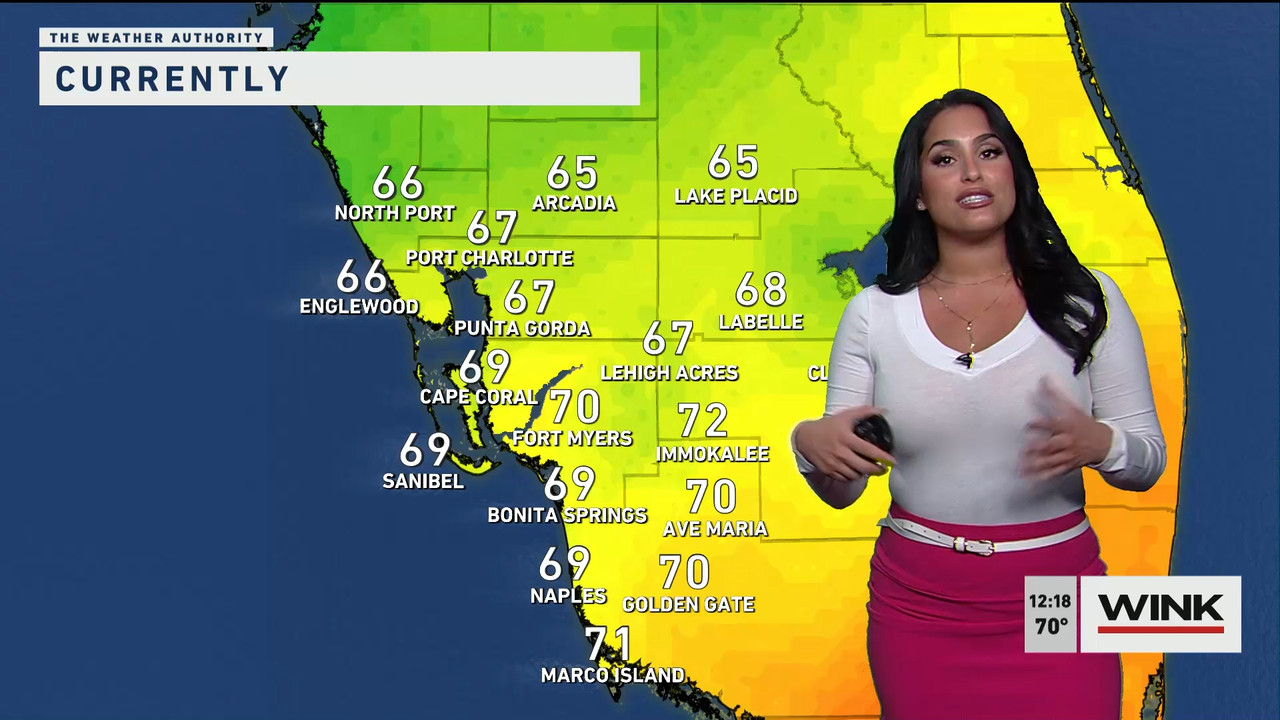 01.26 - 17.00.00 - The WINK Noon News  ᴺᵉʷ. Midday news update..ts_snapshot_24.49.032
