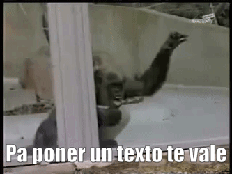 gif mono cabreado Ezgif-com-gif-maker