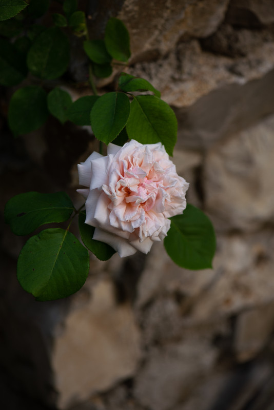 IMG-ef5bc32d566d59fd0ede1fe6690e7918-V