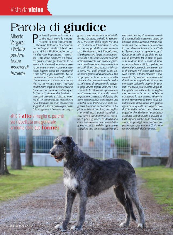 Il M C Giu 2022 (10)