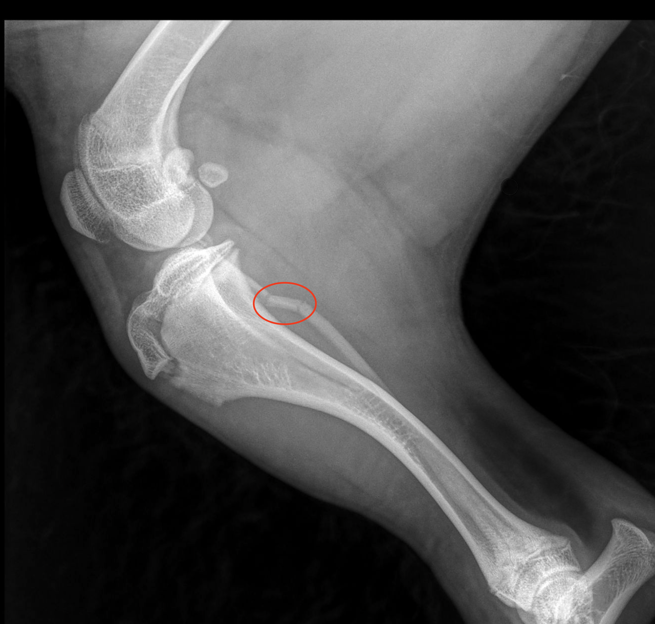 Screenshot 2026 01 17 at 10 21 48 AM