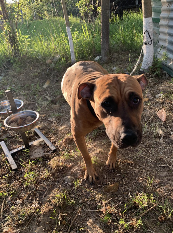 Снимок экрана 2024-05-25 в 20.39.19