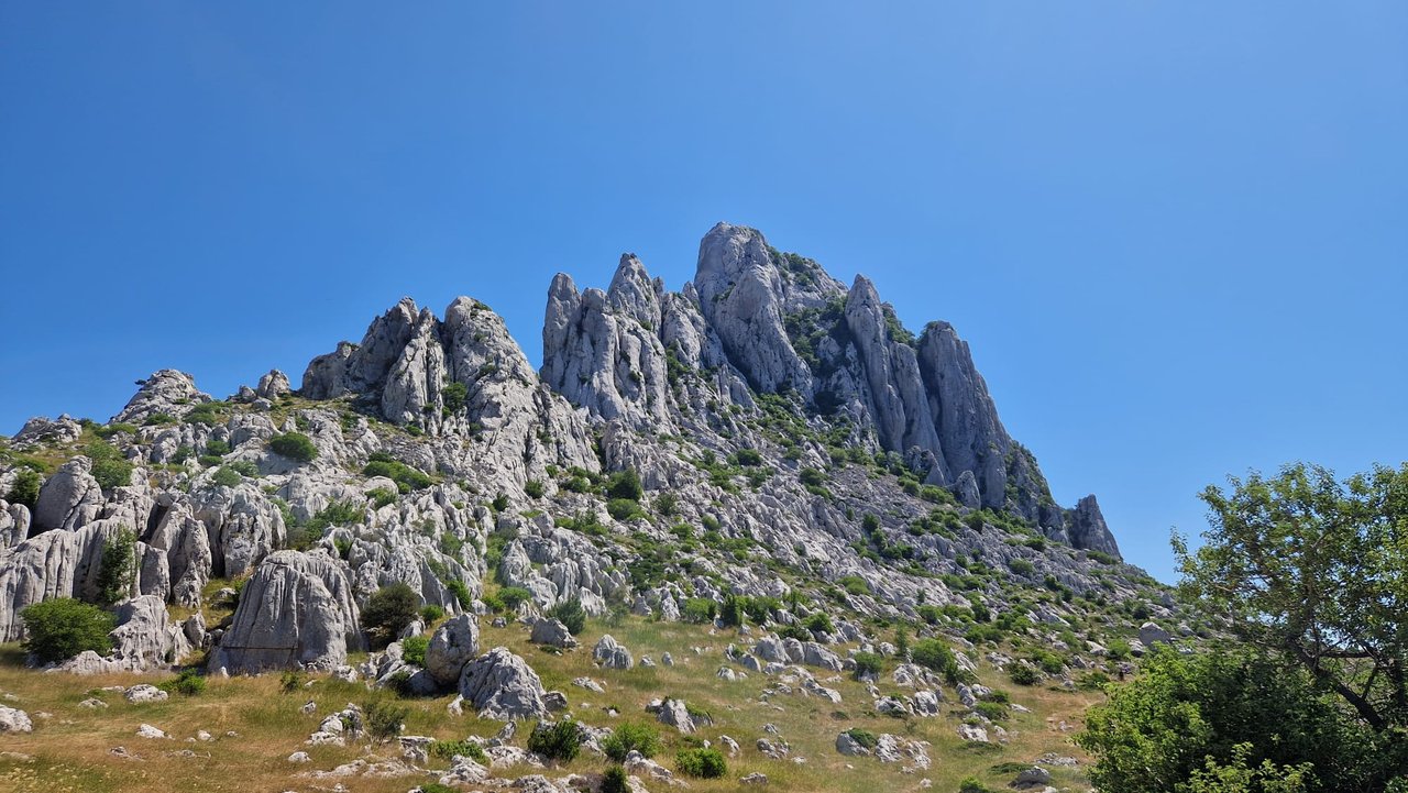Slika