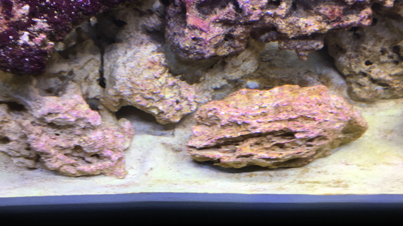 2A9DAF46-B479-4528-827E-B9AFBAE9947B