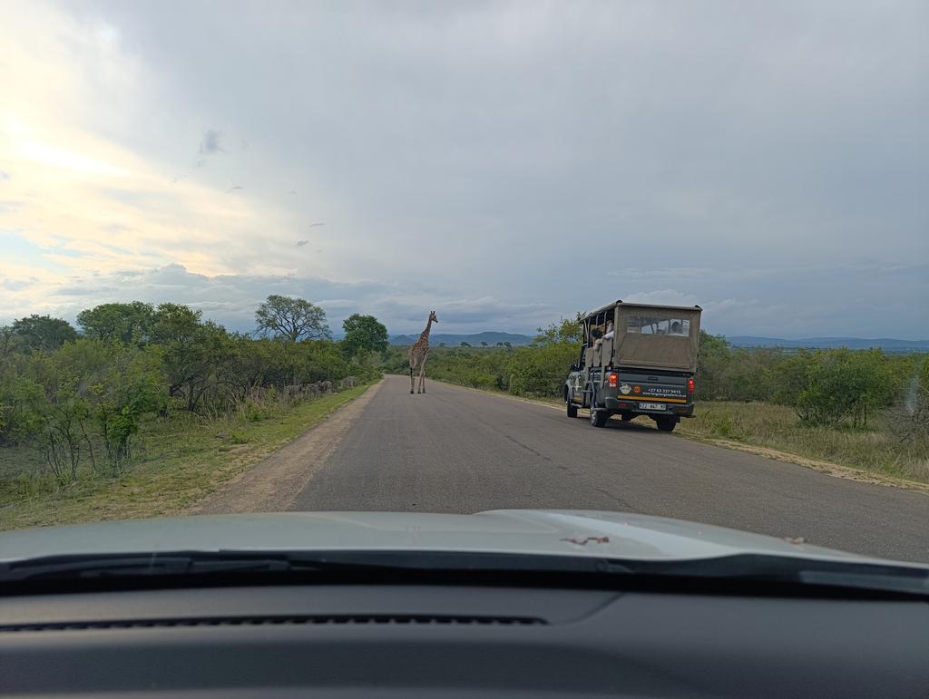 Такая близкая Африка. (ЮАР. 22 дня и 4200 км. Ноябрь-Декабрь)