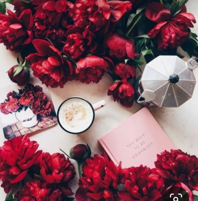 Screenshot_20230420_235715_Pinterest