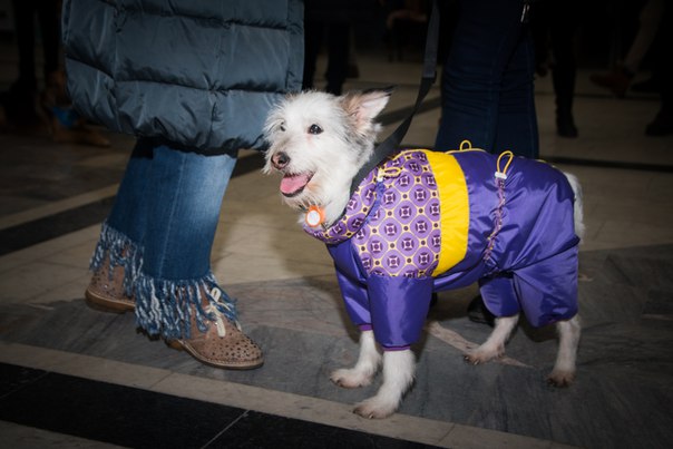 7F8E1FC2-3D37-437D-B601-C954A868C950