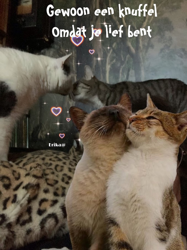 087A8DFE-63D6-40C4-AB0F-EBD5132CE95A