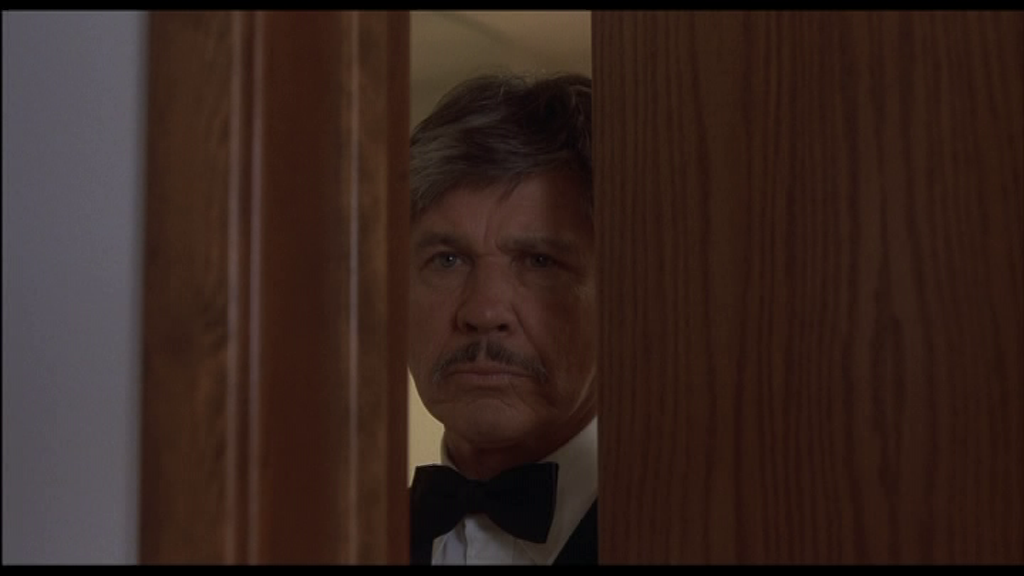 vlcsnap-2024-11-21-15h30m48s666