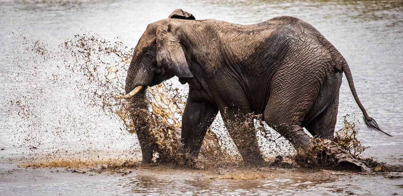 Return from Amboseli safari