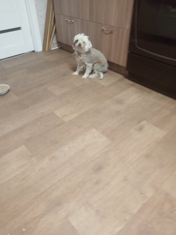 3F362D19-BC2C-4CA9-B48B-922E7EF7BA96