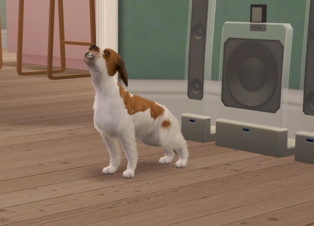 Sims2-EP9-RPC-2024-04-07-10-52-13-43
