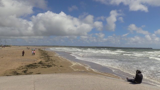IMG-0058.jpg