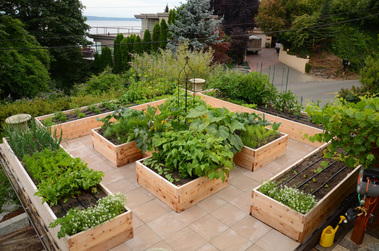 A Raised Garden Bed