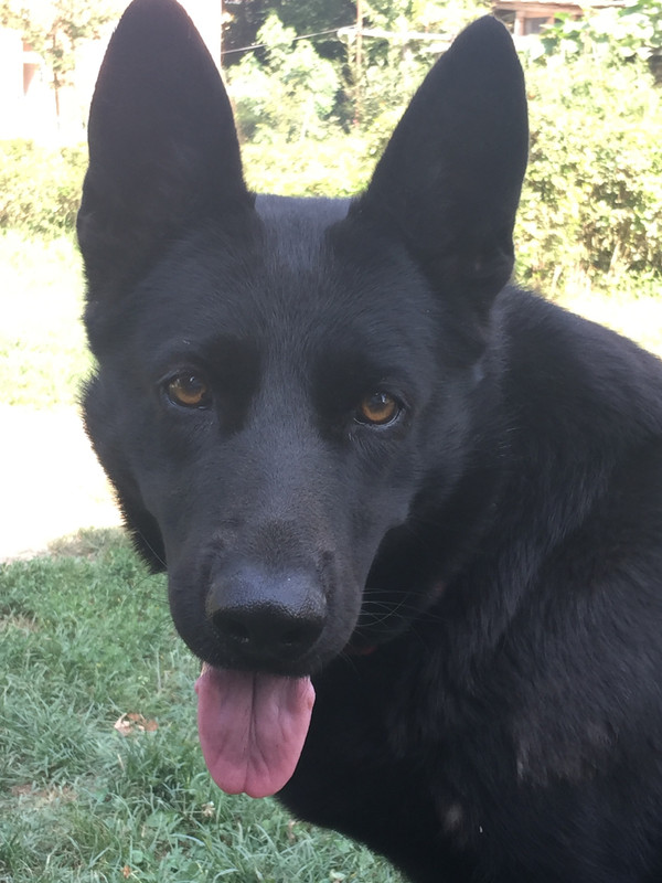 BB9AA528-7F9E-4B19-A9AB-F4D9BB7F2CED