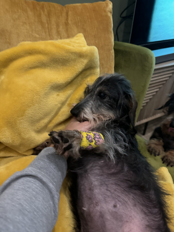 [Image: IMG-2187.jpg]