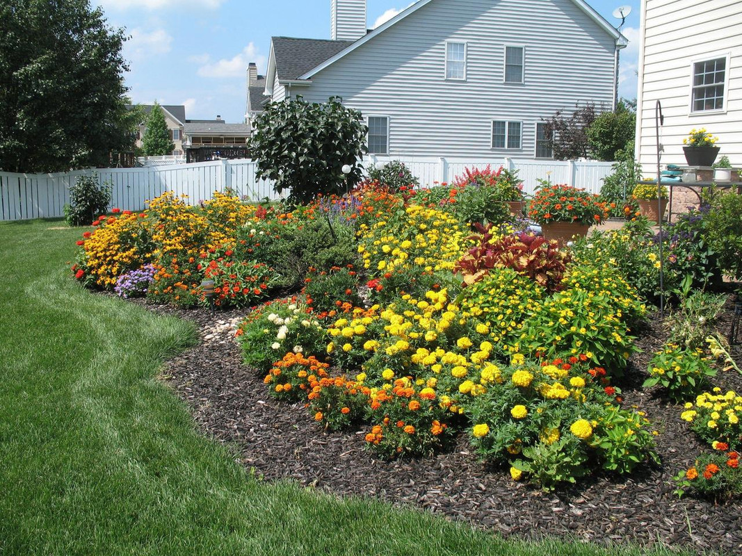 Lawn and Gardens 08.04.2017  (9)