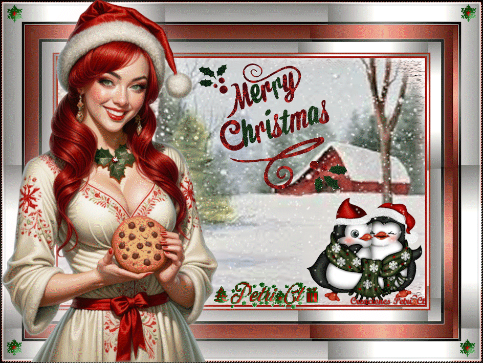 MERRYCHRISMAS petri ct4