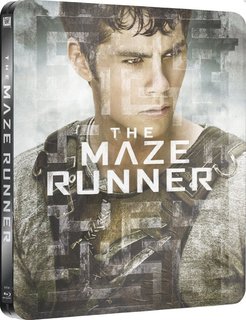 Maze Runner - Il labirinto (2014) .mkv FullHD 1080p HEVC x265 AC3 ITA-ENG