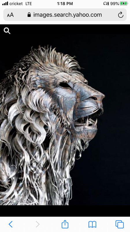 118351584_364151747914335_5488006318806656776_n