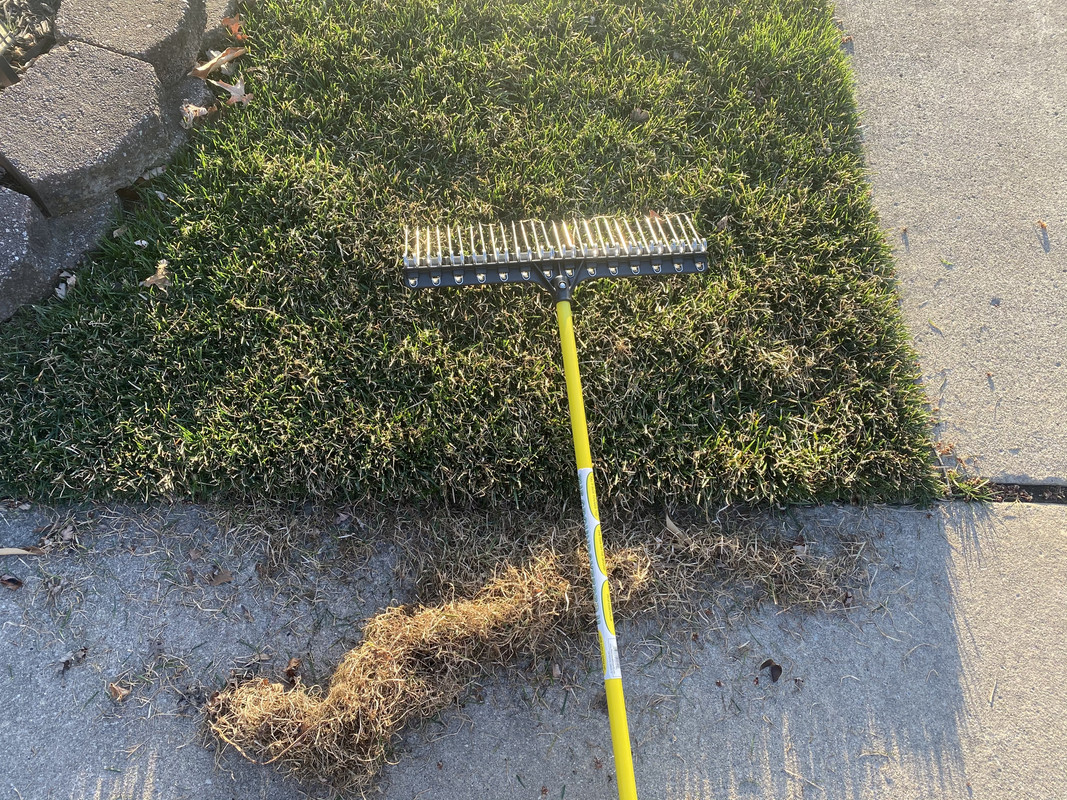 Apply fungicide after mowing Lawn Care Forum