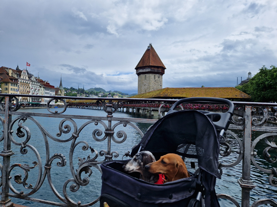 [Image: 20230705-123519.jpg]